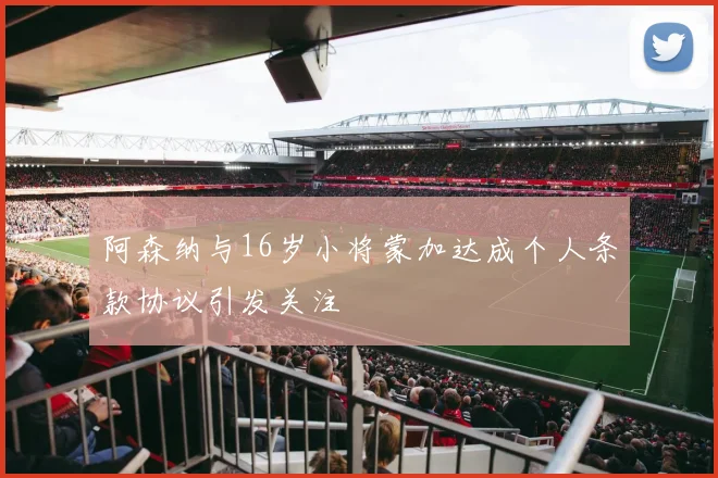 阿森纳与16岁小将蒙加达成个人条款协议引发关注