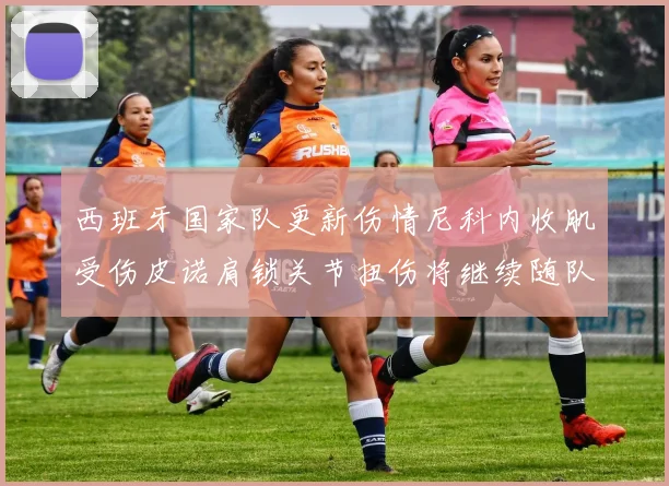 西班牙国家队更新伤情尼科内收肌受伤皮诺肩锁关节扭伤将继续随队训练